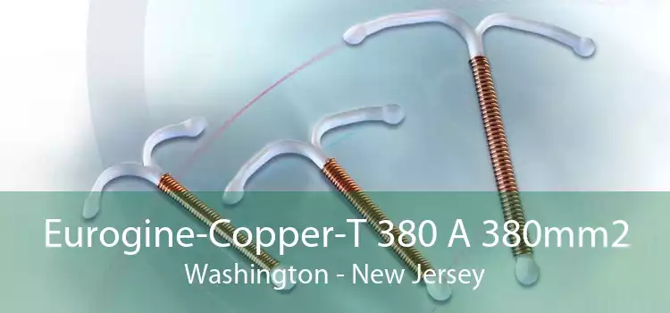 Eurogine-Copper-T 380 A 380mm2 Washington - New Jersey